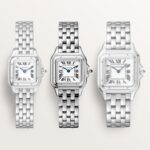 Panthère de Cartier watch WSPN0013 - 图片 6