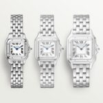 Panthère de Cartier watch CRWSPN0019 - 图片 9