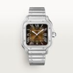 Santos de Cartier watch CRWSSA0064 - 图片 5