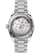 Seamaster Aqua Terra 150M 41 mm 220.10.41.21.03.006 - 图片 2