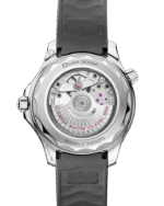 Seamaster Diver 300M Co‑Axial Master Chronometer 42mm 210.32.42.20.06.002 - 图片 2