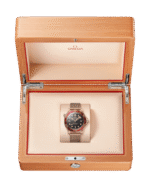 Seamaster Diver 300M 42 mm 210.90.42.20.01.003 - 图片 3